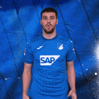 Sport Bundesliga GIF by TSG Hoffenheim