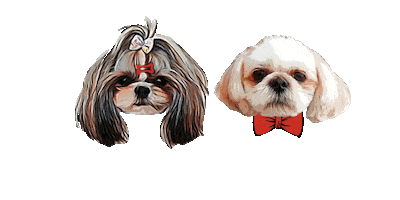 Dog Clothes Sticker