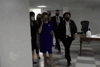 Nancy Pelosi GIF by GIPHY News