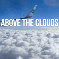 Travel Flying GIF