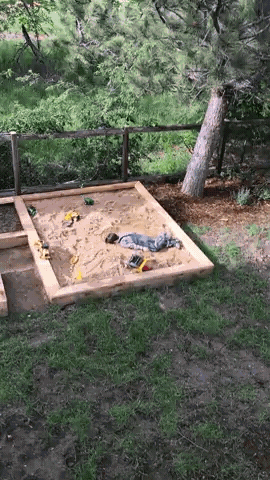 kid GIF by JustViral.Net