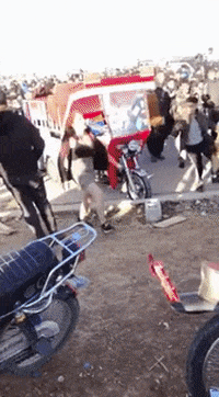 yj_jane giphyupload GIF