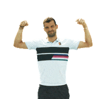 grigor dimitrov Sticker by Wilson Tennis