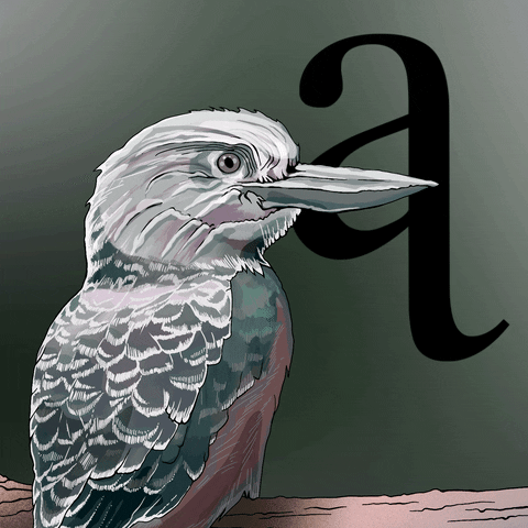 carolyntripp illustration nature drawing australia GIF