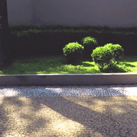 veekchip operadora GIF by Veek