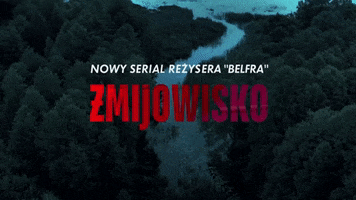 Zmijowisko Zmijowiskocanalplus GIF by CANAL+ Polska