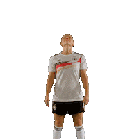 linda dallmann omg Sticker by DFB-Teams