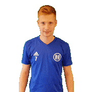 svheek hsv heek svheek Sticker