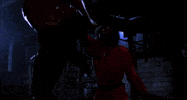 kung-fu GIF by Coolidge Corner Theatre