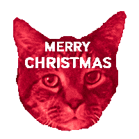 Cat Christmas Sticker