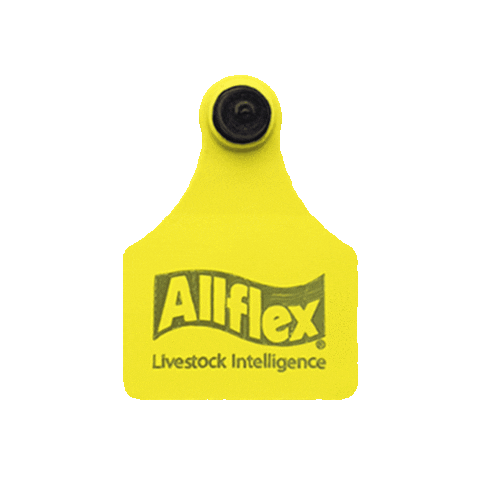 Allflex brinco identificação animal allflex brinco animal Sticker