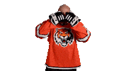 Sport Goal Sticker by HC Amur