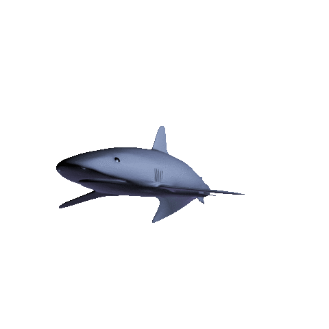 bryangifs ocean fish sea swimming Sticker
