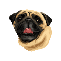 Lunacooper Sticker by Pickle's Pawtraits