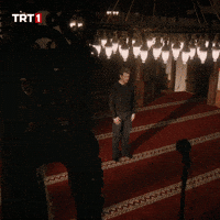 Deniz Baysal Dizi GIF by TRT