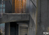 Gene Kelly Dance GIF by Turner Classic Movies