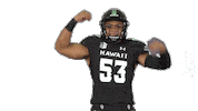 College Football Sticker by Hawaii Athletics