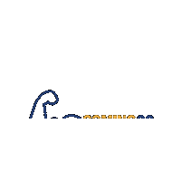 NCSDDC stdengage ncsd Sticker