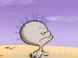 nickrewind nicksplat angry beavers GIF