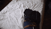 tired sleep GIF by SoulPancake