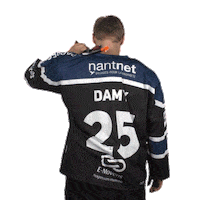 corsairesdenantes corsaires corsairesdenantes nanteshockey Sticker