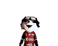 Floorball Swiss Unihockey Sticker by AdAstra Sarnen