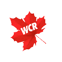 Wcr Windowcleaner Sticker by Window Cleaning Resource