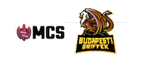 Budapest Sticker by Megyék Csatája