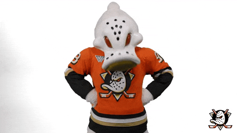 No Problem Yes GIF by Anaheim Ducks
