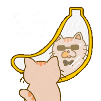 Cat Feeling Sexy Sticker by Banana Boss