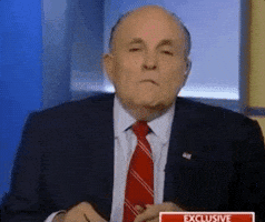news rudy giuliani GIF