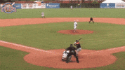 EvansvilleOtters baseball nice jump swag GIF