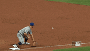 Ny Mets Sport GIF by New York Mets