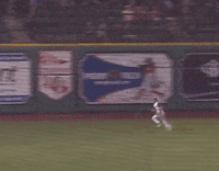 Slide Wow GIF by Fort Wayne TinCaps