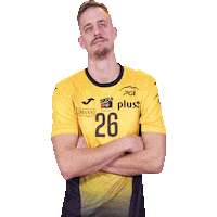 Volleyball Think Sticker by PGE Skra Bełchatów