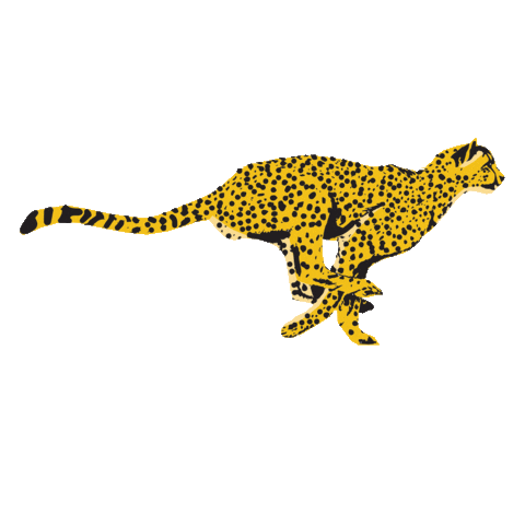 LozzaRachTattooer run tiger leopard cheetah Sticker