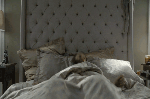 last man fox GIF by The Last Man On Earth