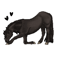 Horse Frison Sticker