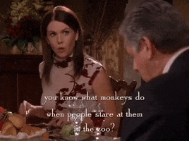 season 4 netflix GIF by Gilmore Girls 