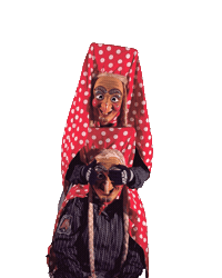 Hexen Narrenzunft Sticker by Gletscherfleh Hofier