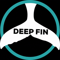 deepfintenerife diving dive canarias scuba GIF