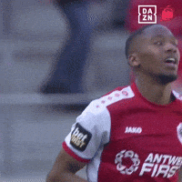 Celebration Playoffs GIF by DAZN Belgium