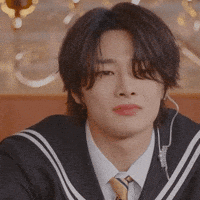 Stray Kids Skz GIF
