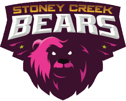 F45Stoneycreek giphyupload f45 stoney creek f45stoneycreek f45 stoney creek bears Sticker