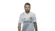 Los Angeles Football Sticker by LA Galaxy