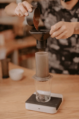 mojoecoffee giphygifmaker GIF