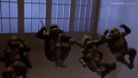 Martial Arts Comedy GIF by Arrow Video