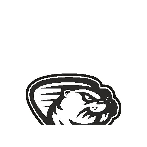 hcbobri giphygifmaker valmez valasskemezirici bobri Sticker