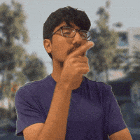 Walnut Ave GIF