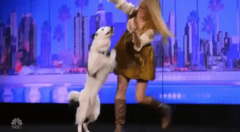 nbc GIF by America's Got Talent